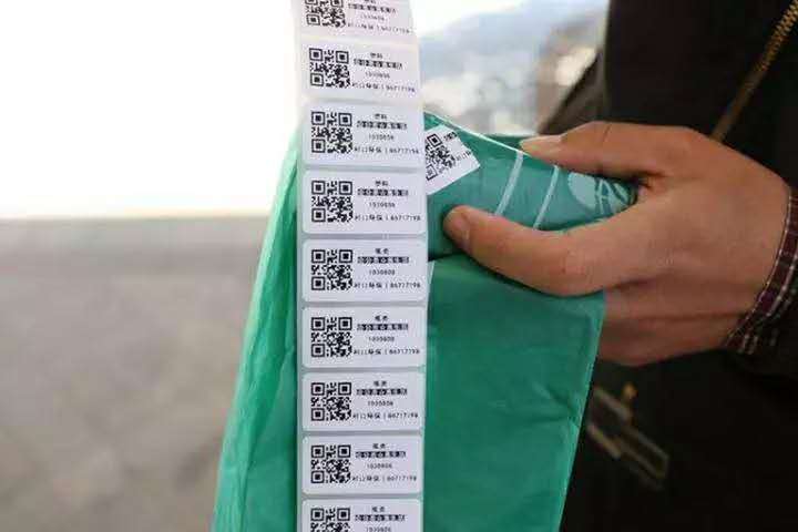 垃圾分类二维码标签